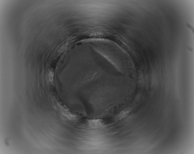 X0000099950281200806061549