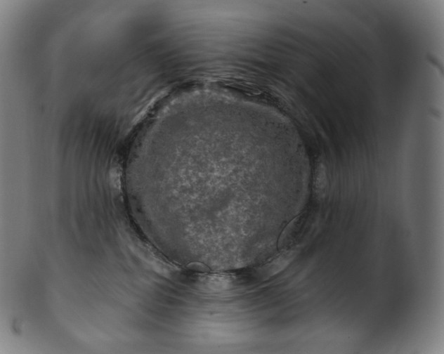 X0000099950282200806061549