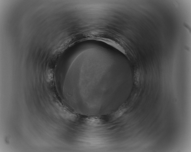 X0000099950284200806061549