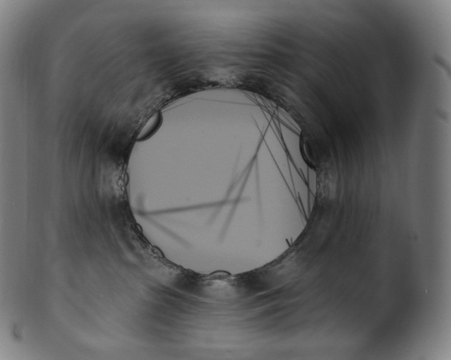 X0000099950285200806061549