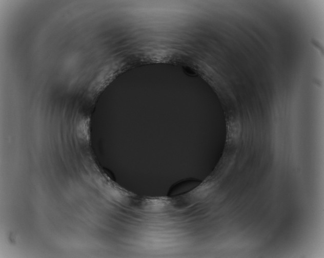 X0000099950286200806061549