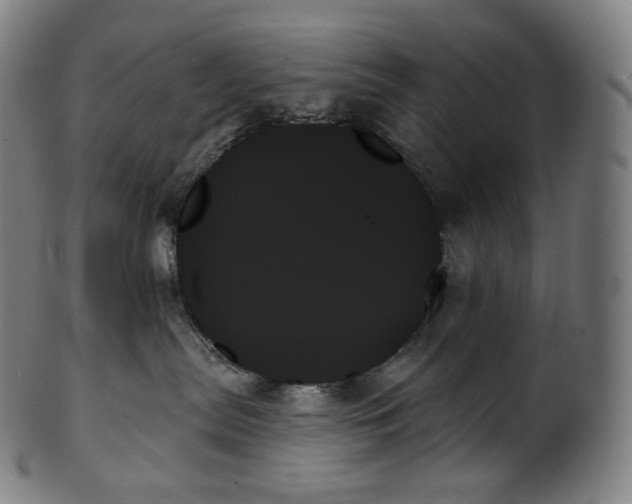 X0000099950287200806061549