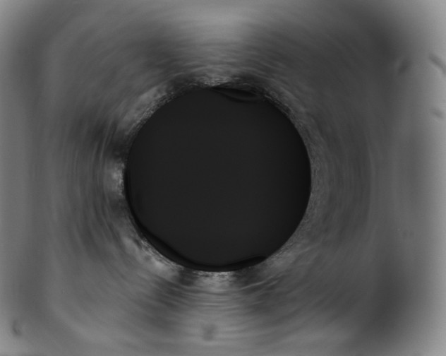 X0000099950288200806061549