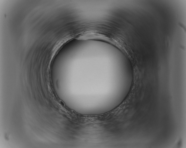 X0000099950289200806061549