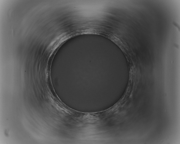 X0000099950290200806061549