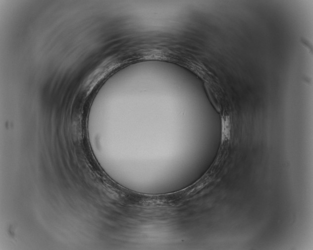 X0000099950291200806061549