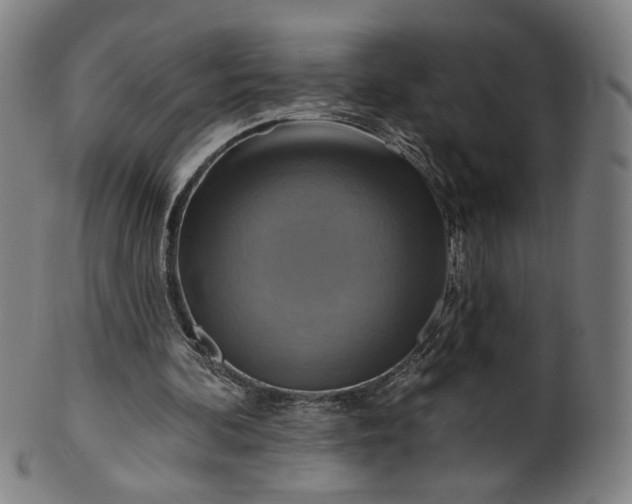 X0000099950292200806061549