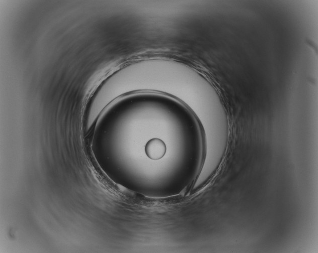 X0000099950293200806061549