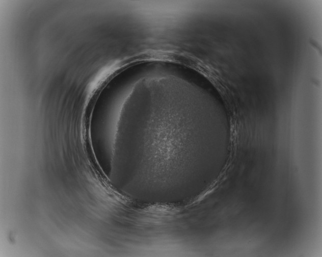 X0000099950294200806061549