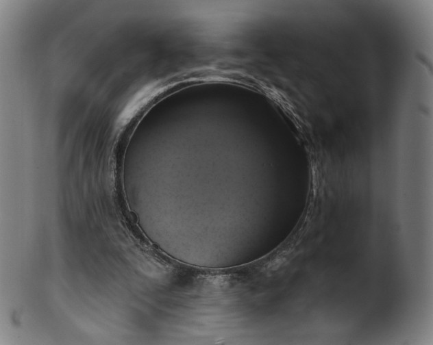 X0000099950295200806061549