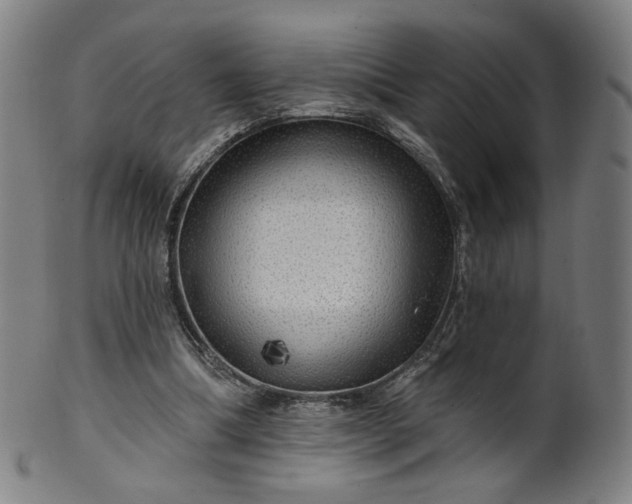 X0000099950298200806061549