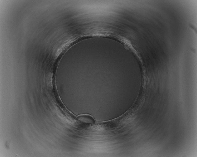 X0000099950299200806061549