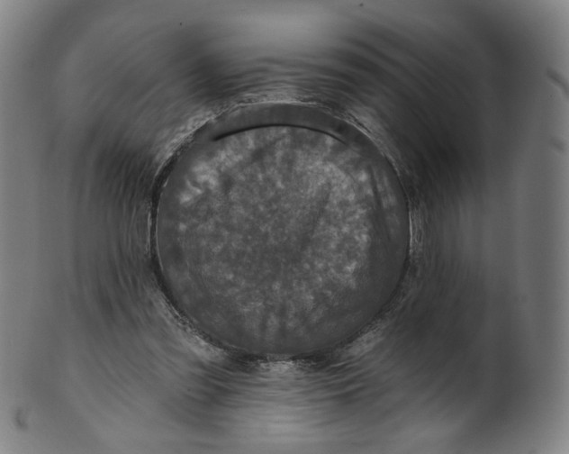 X0000099950301200806061548