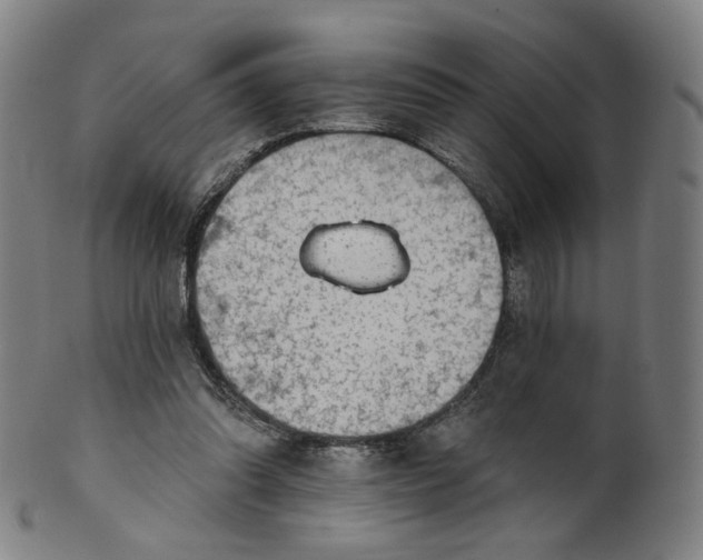 X0000099950302200806061548