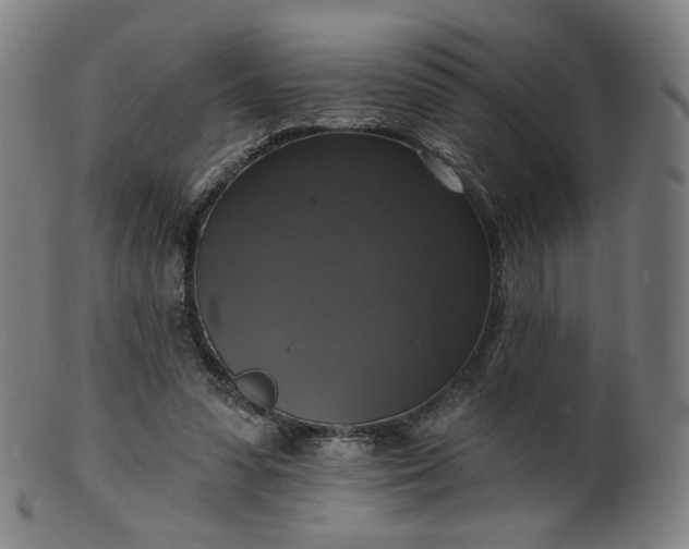 X0000099950303200806061548