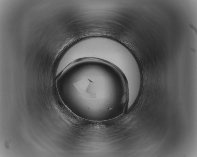 X0000099950304200806061548