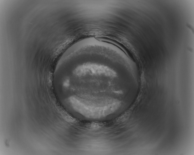 X0000099950305200806061548