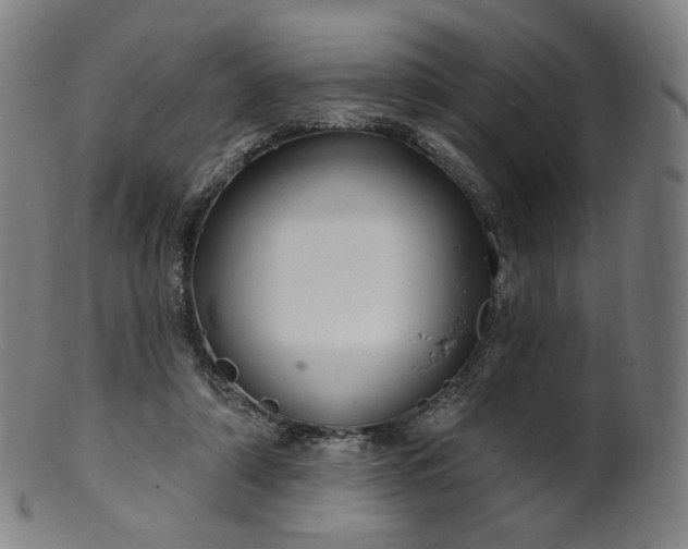 X0000099950306200806061548