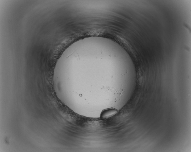 X0000099950307200806061548