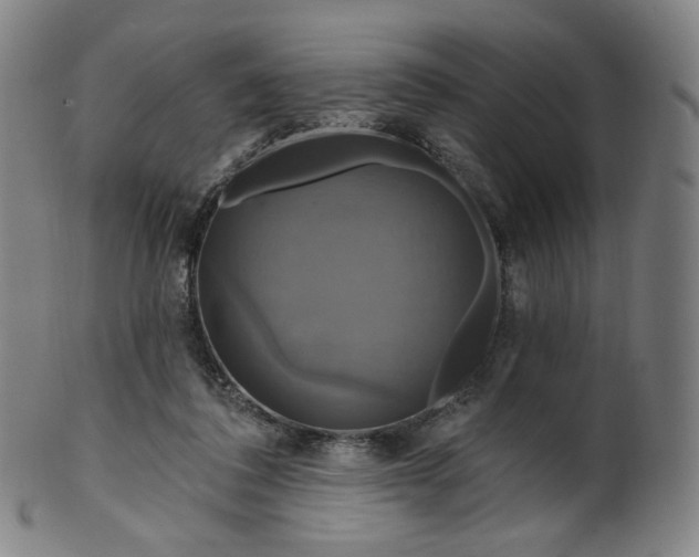 X0000099950308200806061548