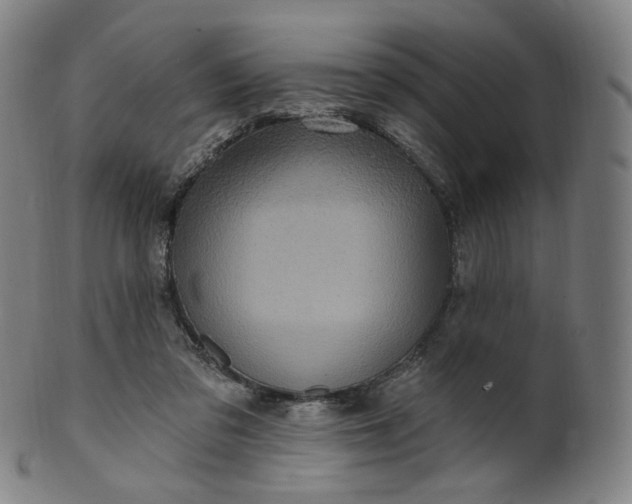 X0000099950309200806061548