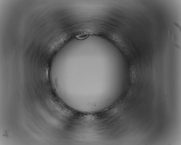 X0000099950310200806061548