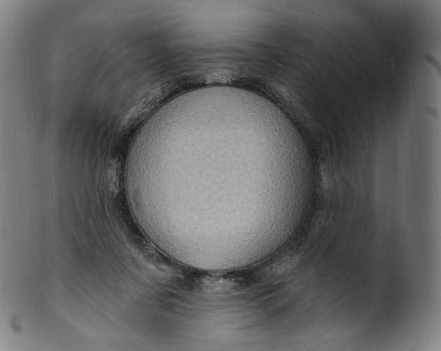 X0000099950311200806061548