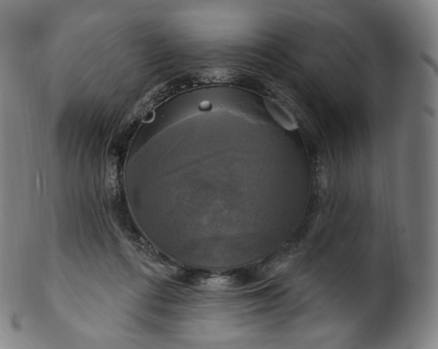 X0000099950312200806061548