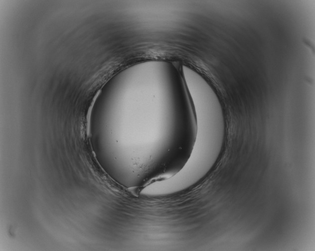 X0000099950313200806061548