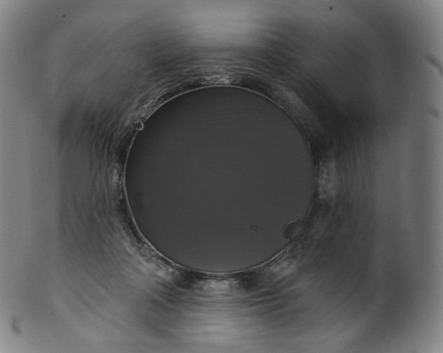 X0000099950314200806061548