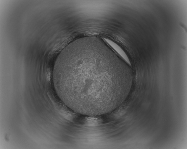 X0000099950315200806061548