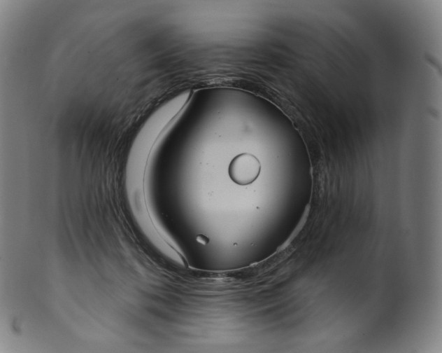 X0000099950316200806061548