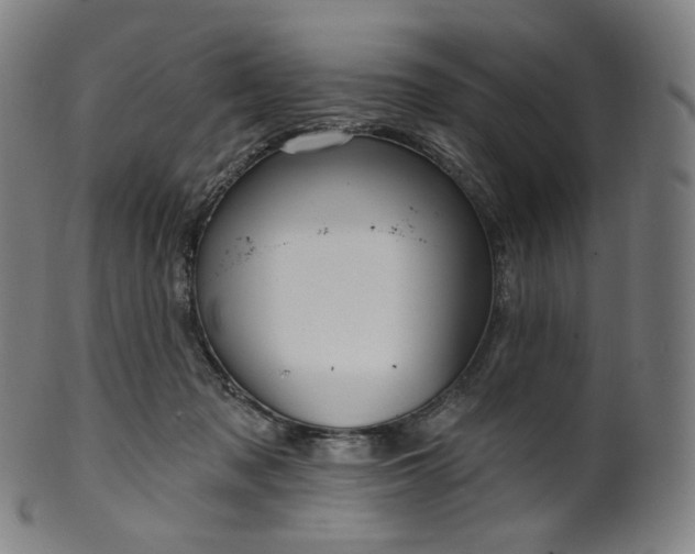 X0000099950317200806061548