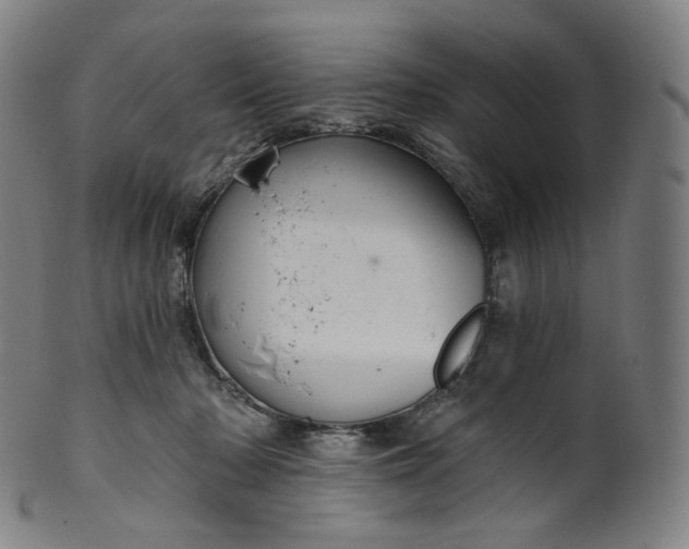 X0000099950318200806061548