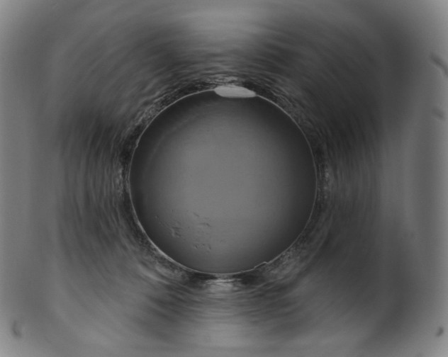 X0000099950320200806061548