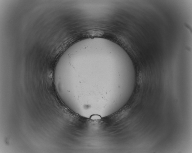 X0000099950321200806061548