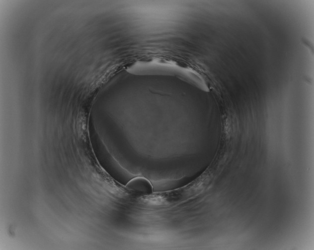 X0000099950322200806061548