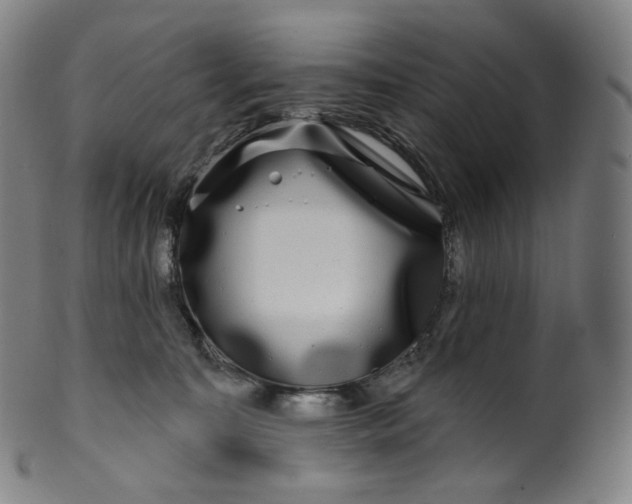 X0000099950323200806061548