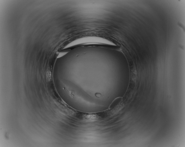 X0000099950324200806061548