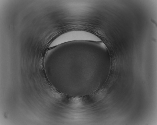 X0000099950325200806061548