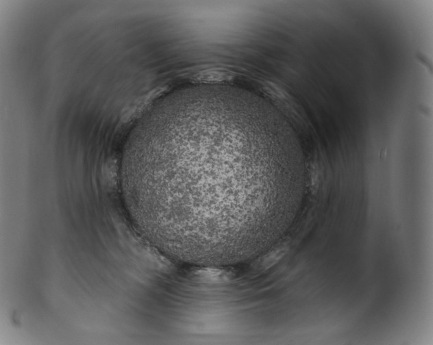 X0000099950326200806061548