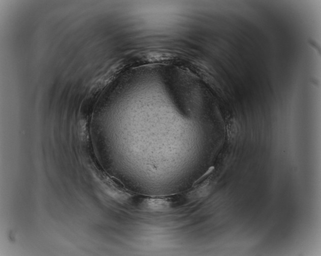 X0000099950327200806061548