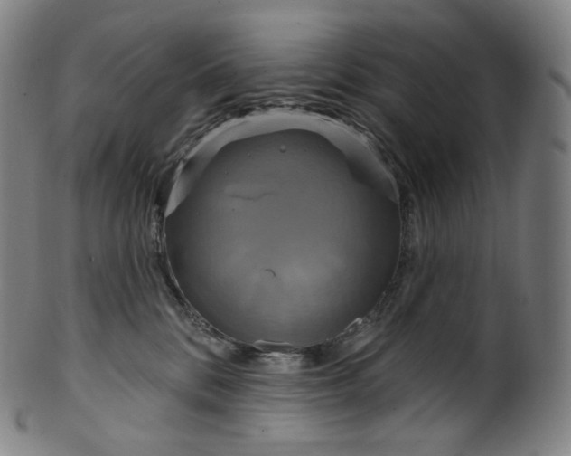 X0000099950328200806061548