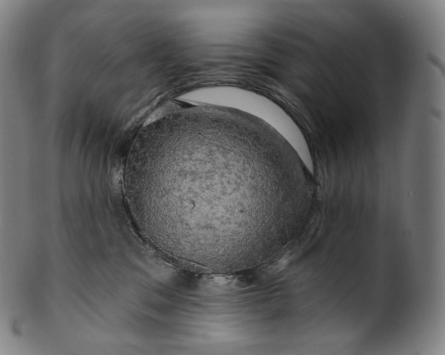 X0000099950329200806061548