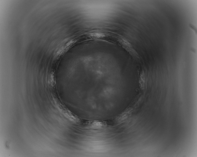 X0000099950330200806061548