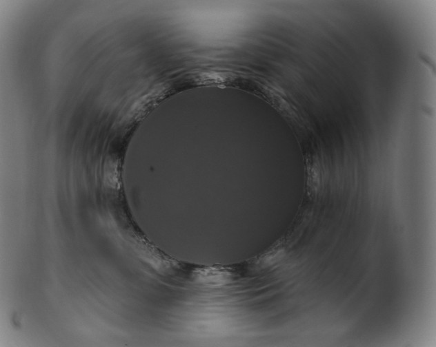 X0000099950331200806061548