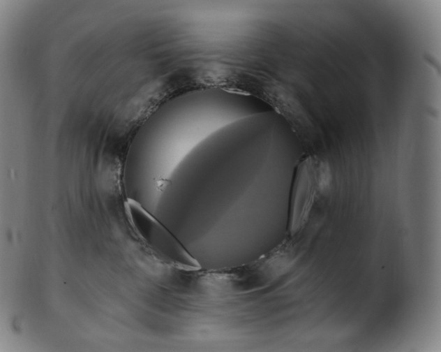 X0000099950332200806061548