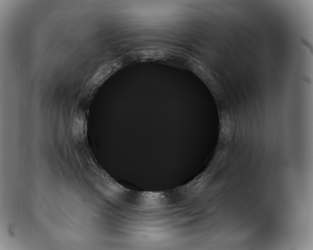 X0000099950333200806061548