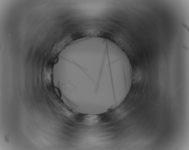 X0000099950334200806061548