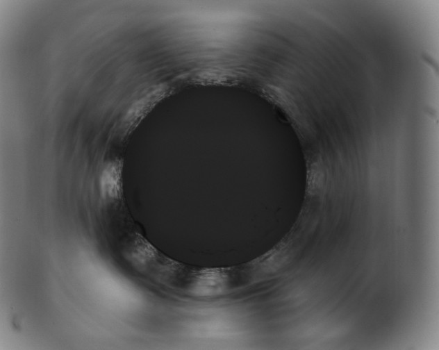 X0000099950335200806061548